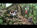 A Day in the Life of Danum Valley Field Center (DVFC)