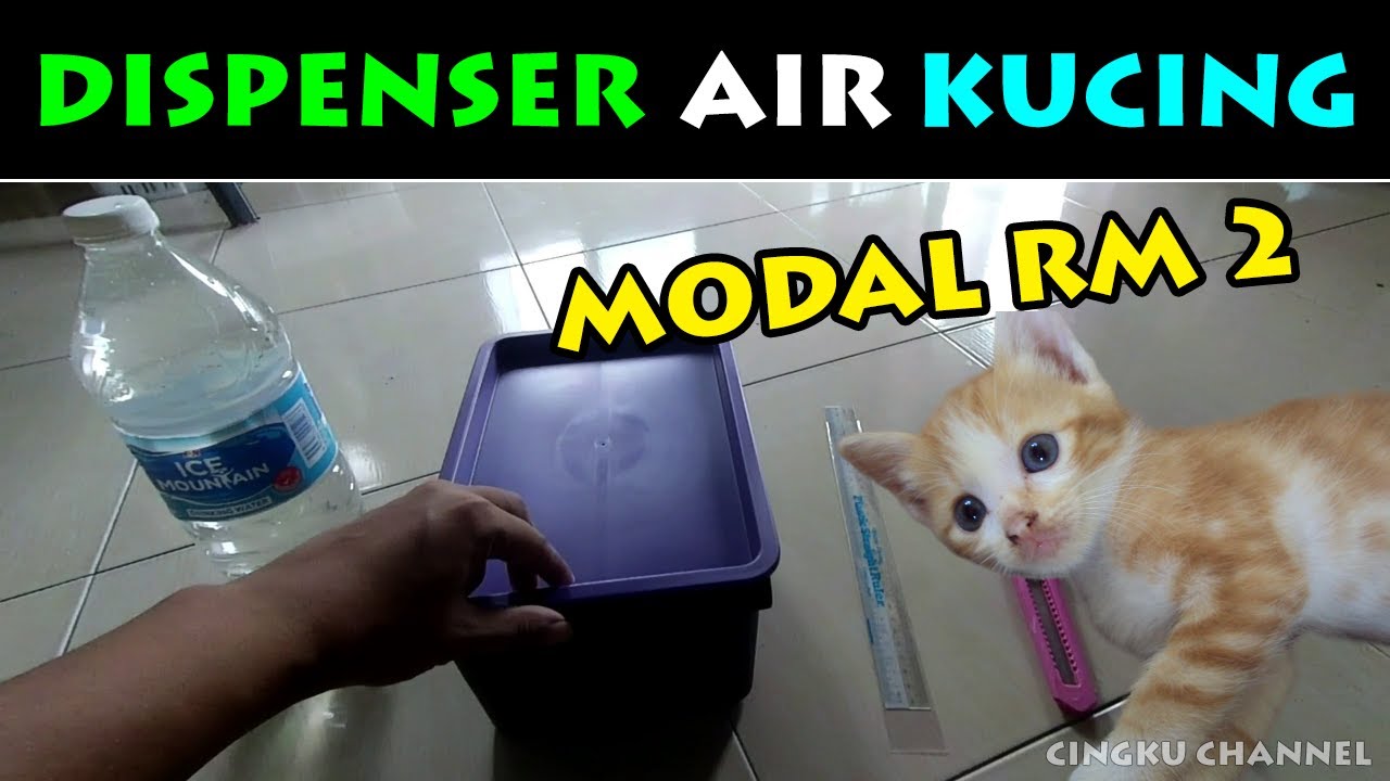 Buat pemberi air kucing automatik modal RM2 water dispenser drinking