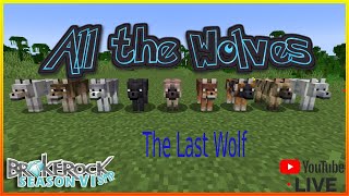 Brokerock Season 6 LIVE - All The Wolves ft. Jax and Judd Part 3