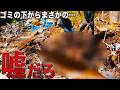 【古民家再生】倒壊した古民家の下から巨大〇〇発見! ゴミかお宝か…