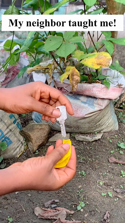 My neighbor taught me this today #tips101 #hacks #shorts