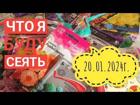 Что буду сеять в 2024г/Семена по советам зрителей#влог#сибирь#дача#огород#цветы#семена#овощи