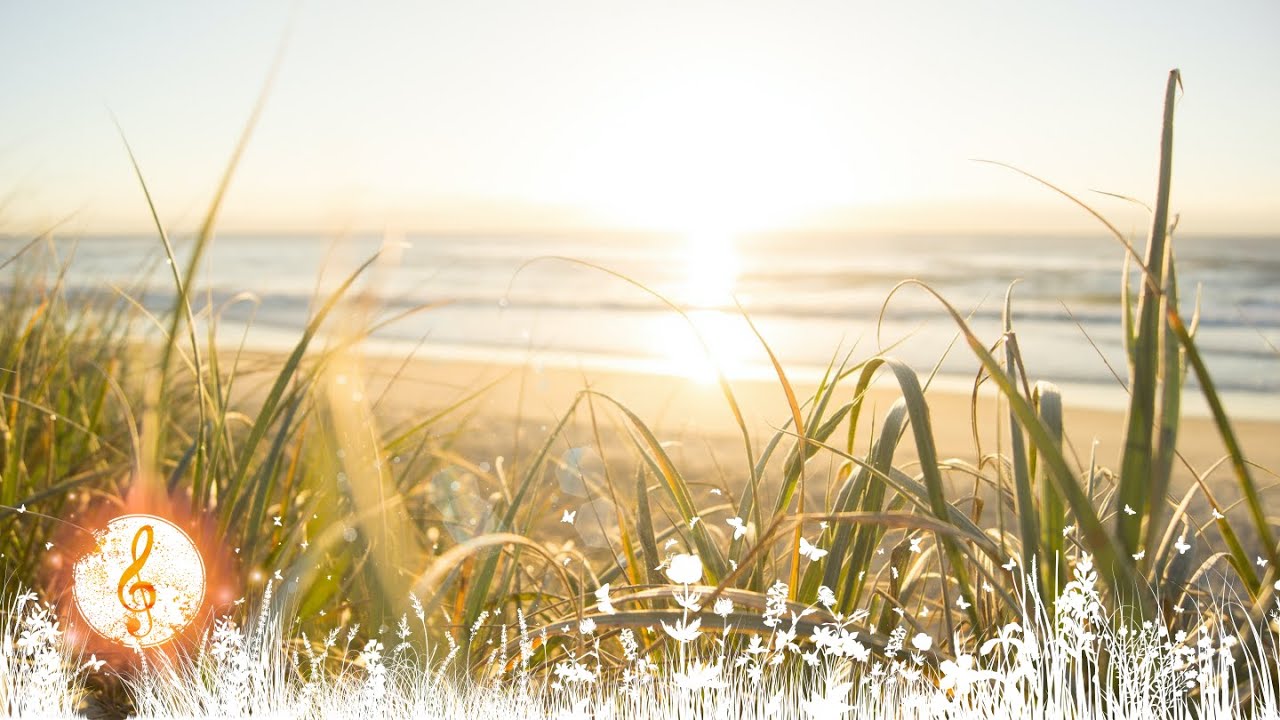 Relaxing Summer Vibes | Summer Music for Sleep | Happy Upbeat and Carefree Summer Music