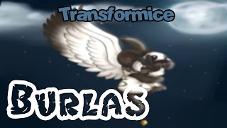 TRANSFORMICE| Burlas 6 ft.Cesartffm