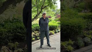 People of the Park: Keeping Conservatory Garden Growing with Diane #shorts
It looks effortless, but every inch of Central Park’s Conservatory Garden is cared for by hand. 🌿 Meet Diane Schaub, Director of Gardens at the Central Park Conservancy, and discover the care that goes into every nook and cranny of Conservatory Garden.
The mission of the Central Park Conservancy is to preserve and celebrate Central Park as a sanctuary from the pace and pressures of city life, enhancing the enjoyment and wellbeing of all.
Learn more about our work here: https://bit.ly/3psB7N3
Subscribe for new content: http://www.youtube.com/c/centralparknyc People of the Park: Keeping Conservatory Garden Growing with Diane #shorts