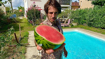 MEZERG - WATERMELON 🍉