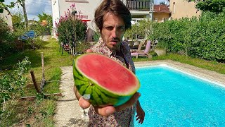 MEZERG - WATERMELON 🍉