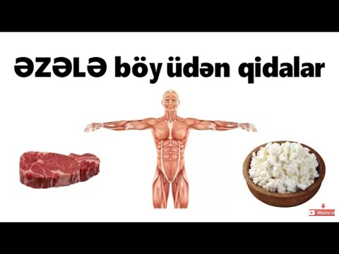 Video: Hovuzda əzələ Necə Qurulur
