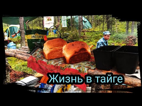 Life in the Taiga, New Cluster. First Point. Season 2020 Episode 24
