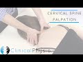 Cervical Spine Palpation | Clinical Physio