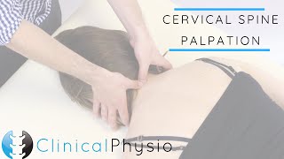 Cervical Spine Palpation | Clinical Physio