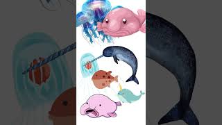 Did you know this about ocean creatures? #didyouknow #oceancreatures #information #edit #coolfacts
