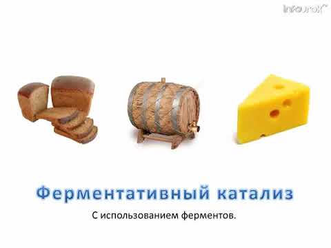 13а. (В-У). Катализаторы и катализ