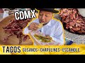 Comida Exótica frente a Teotihuacan en CDMX