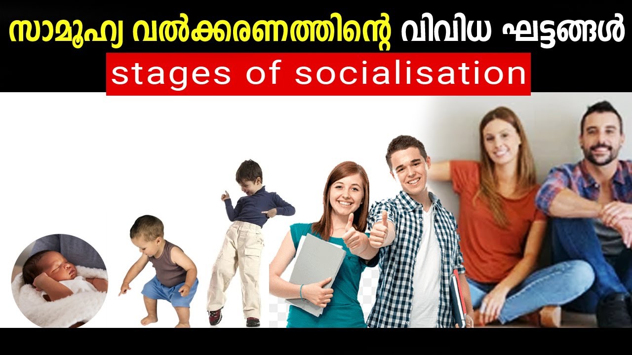 സാമൂഹ്യ വൽക്കരണത്തിന്റെ വിവിധ ഘട്ടങ്ങൾ - stages of socialisation