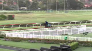 ATC TV - The Japanese turf stars stride out in Sydney