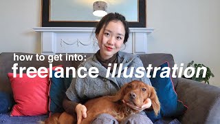 how I started my illustration career