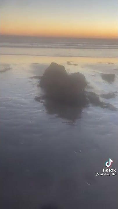Tsunami malibu today