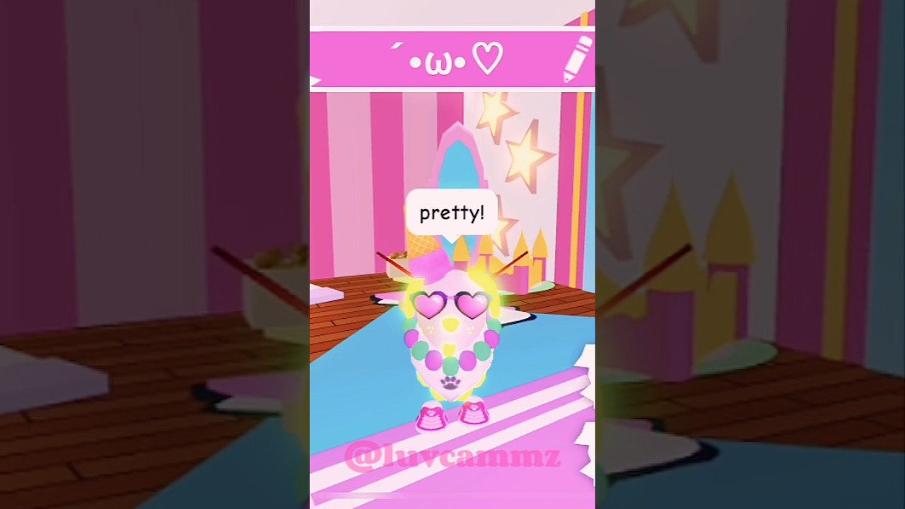 Petwear makes pets look better !! 🌈 