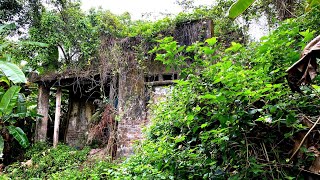 INTENSE STIHL Saw Cutting Overgrown Grass 150 Years Abandoned House With TERRIFYING Transformation