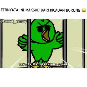 Ketika Burung Berkicau || status wa lucu || story wa lucu || kicau mania