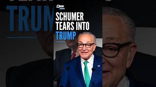 Schumer Torches Trump over SAVE Act: "The Presidency Isn't a Grift"