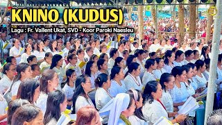 Download lagu KNINO - MISA INKULTURASI 2024 || KOOR PAROKI NAESLEU - GUA BITAUNI #kefamenanu #ttu #ntt