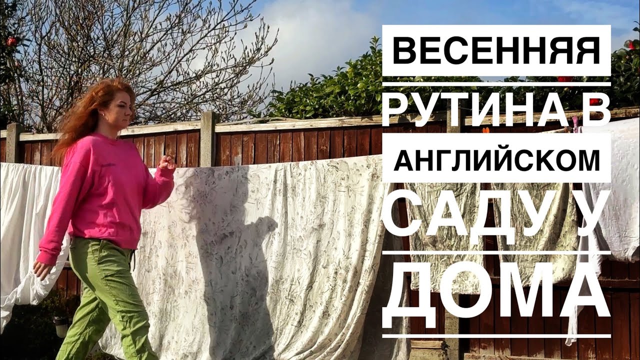 Весенняя рутина в английском саду и прогулки у дома в конце февраля.