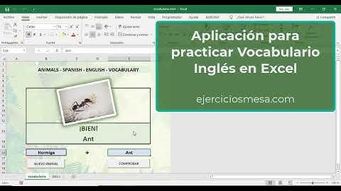Aplicación para practicar Vocabulario Inglés en Excel