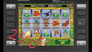 Игровой автомат crazy monkey и рисковость на ставках средняя!!!Слоты igrosoft!