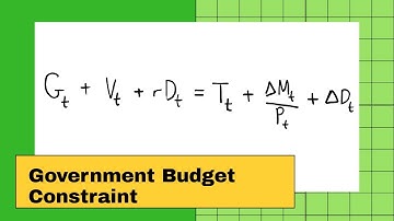 Government Budget Constraint
