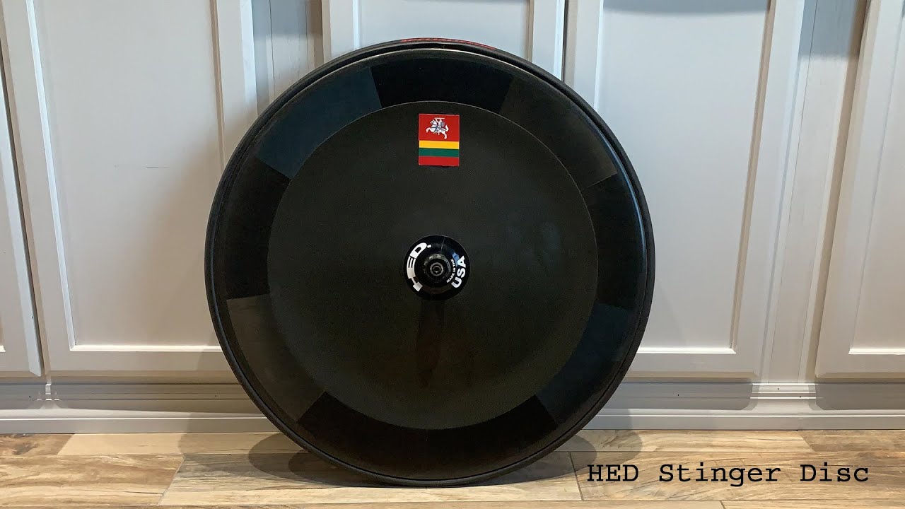 hed stinger disc