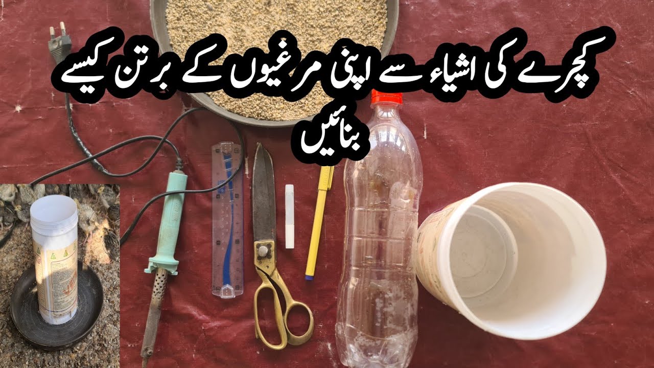 How to make a feeder for your backyard poultry | DIY chicken feeder ...