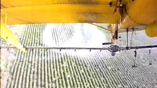 Silwet Surfactants benefits Agricultural Applications