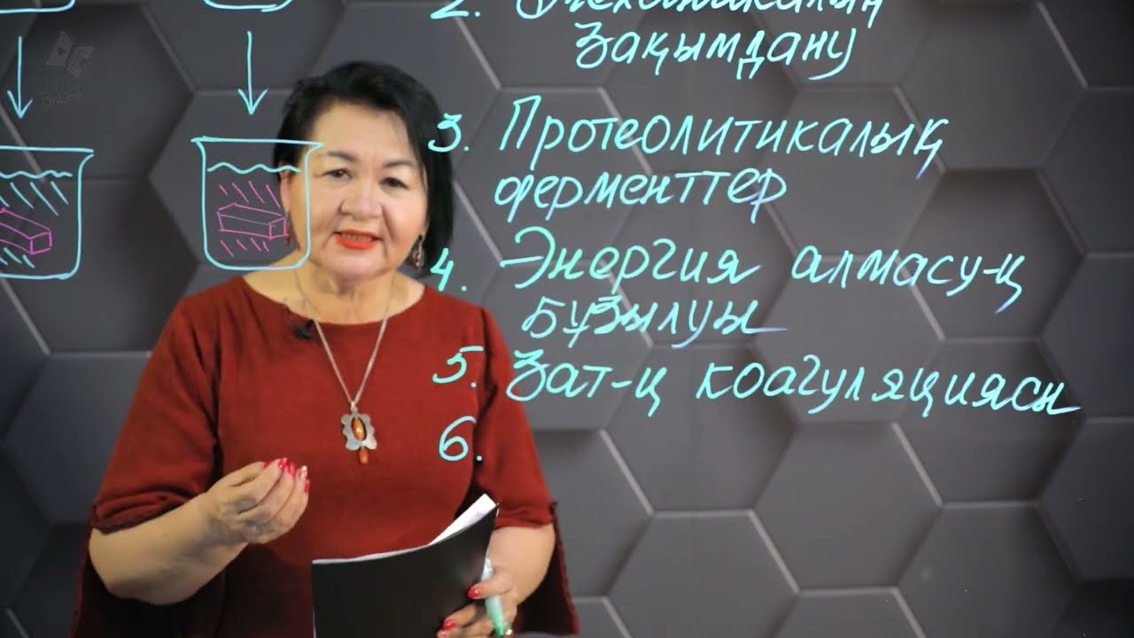 Менің әйелім жезөкше