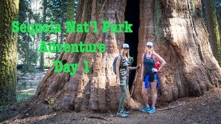 Sequoia Nat'l Park Adventure Day 1
