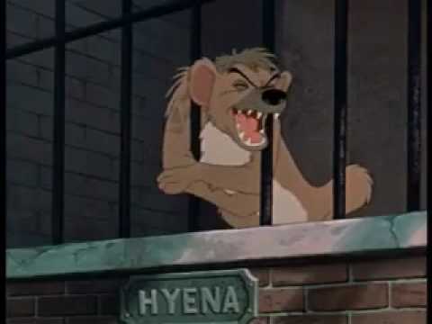 Hyena laughing in Lady and The Tramp