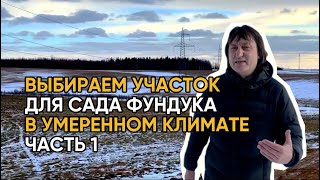 ВЫБИРАЕМ УЧАСТОК ДЛЯ САДА ФУНДУКА В УМЕРЕННОМ КЛИМАТЕ ЧАСТЬ 1