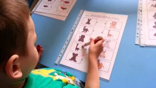 I&K Visual Discrimination Activity - Matching Pictires To The Shadows
