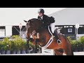 abcdefu | Equestrian Music Video