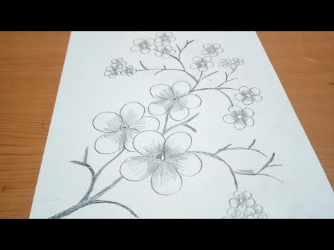 Video: Cara Membuat Gambar Sendiri Di Bunga