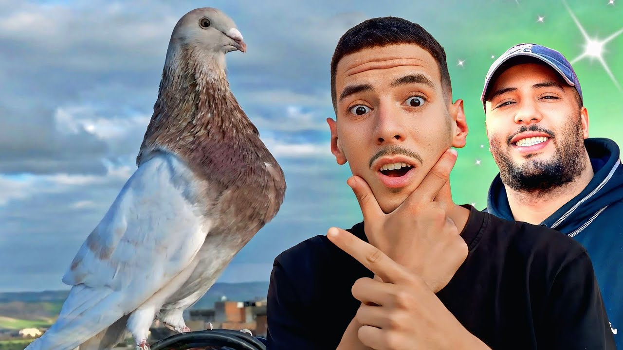 ناري ما يمكنش كيفاش دوزتنا نهارنا مع الحميمات 🤣 مشيت عند يوسف اجيوا تشوفوا شنو دار...🤔