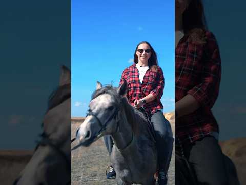 24 часа едим в Казахстане!