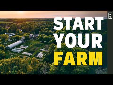How To Start