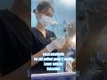 #trending #dentalcare #dentition #dental #dentalclinic #dentistry #dentist #shorts #youtube #short