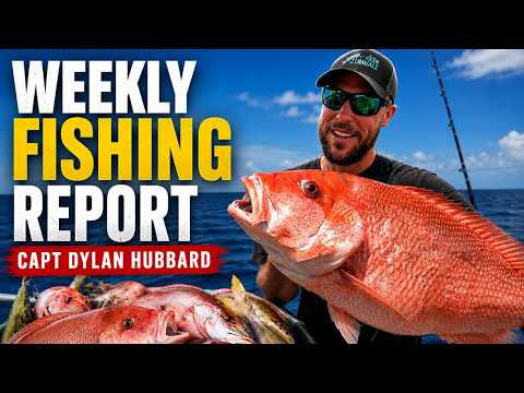 It's Red Snapper Season 2026! | Fishing Report 6-12-2026