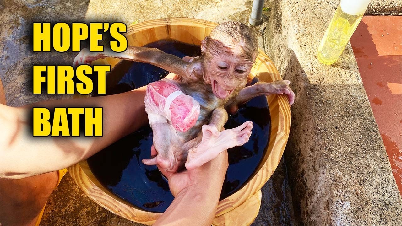 Hope’s First Bath and Bandage Change ❤️ So Emotional