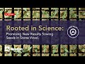 Rooted in Science: Promising New Results Sowing Seeds in Stone Wool