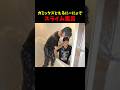 ガミックスとスライム風呂 #えるにーにょ #shorts #ガミックス