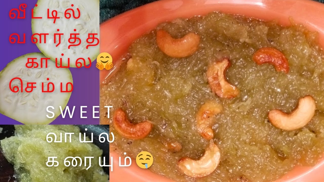 மாடி தோட்டத்துல பரிச்ச சுரைக்காய் அல்வா இவ்வளவு டேஸ்டா/🤤